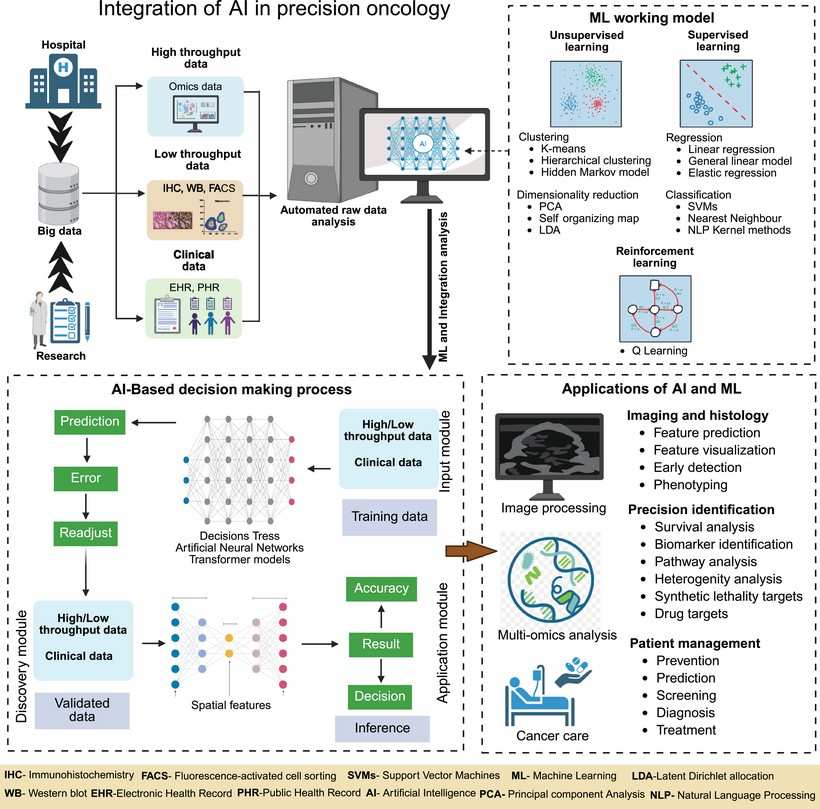 Integrating AI/ML into precision oncology for personalized treatment.
