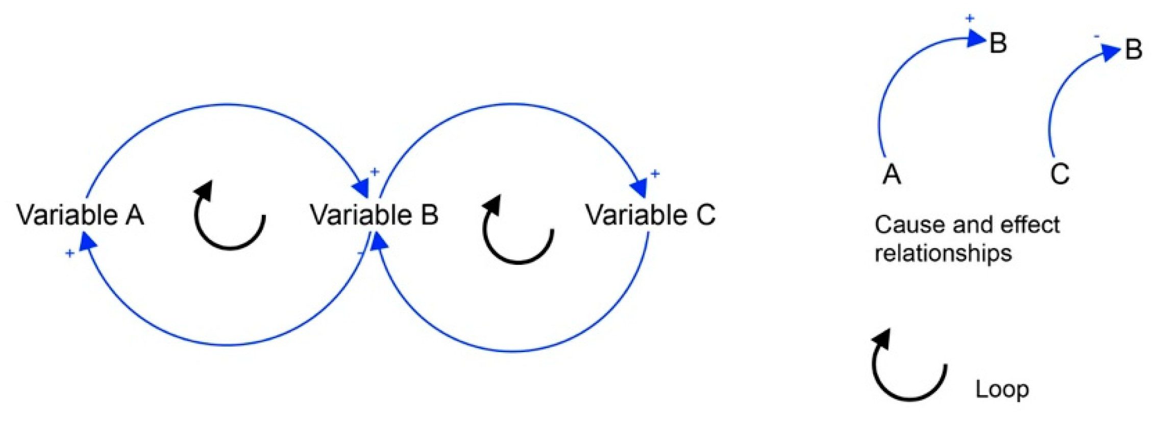 General causal loop structure.