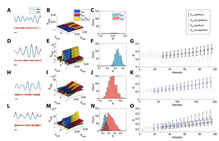 The model detects different types of cross-frequency coupling.