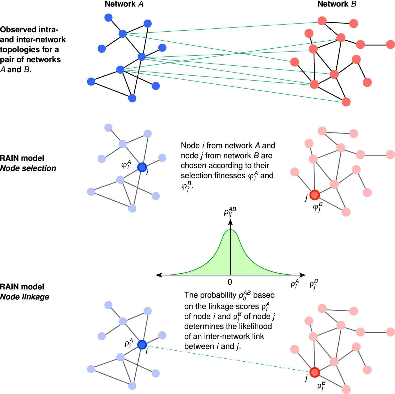RAIN model: observed networks A and B (top), and inter-network links from intra-network features.