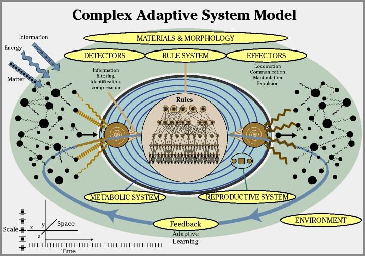 Representation of a complex adaptive system model.
