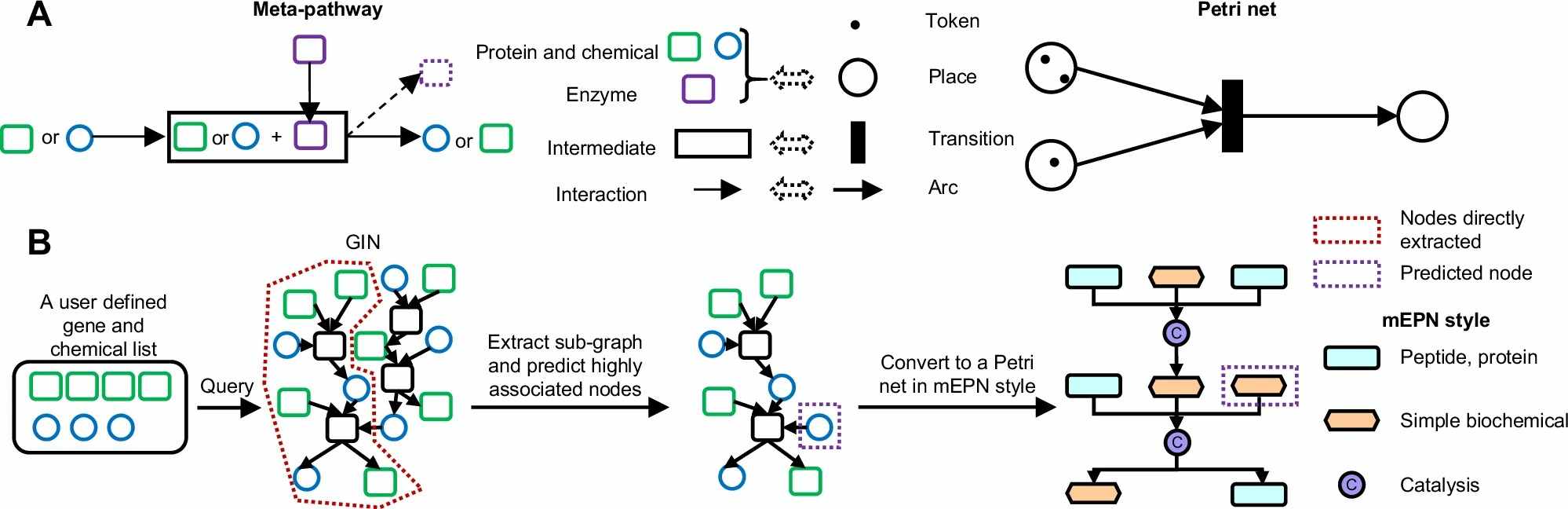 Strategies for constructing Petri Net models from GIN.