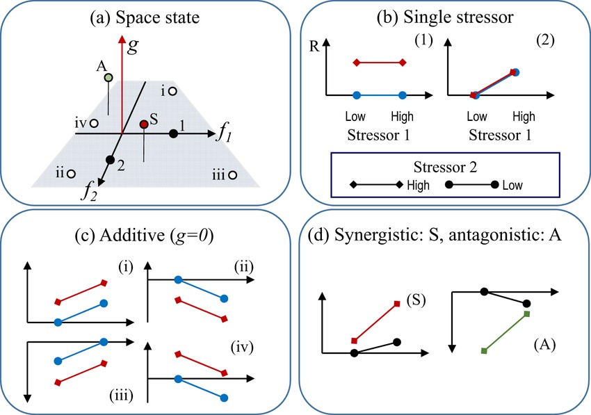 State-space representation showing D1 and D2 as axes, with G represented as the resultant R.
