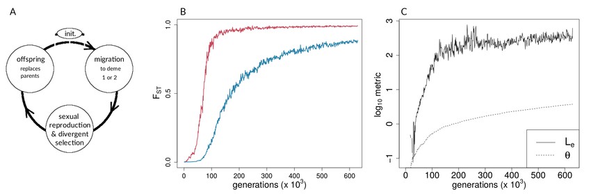 Overview of forward-time simulations: life cycle, FST over time, and coupling.